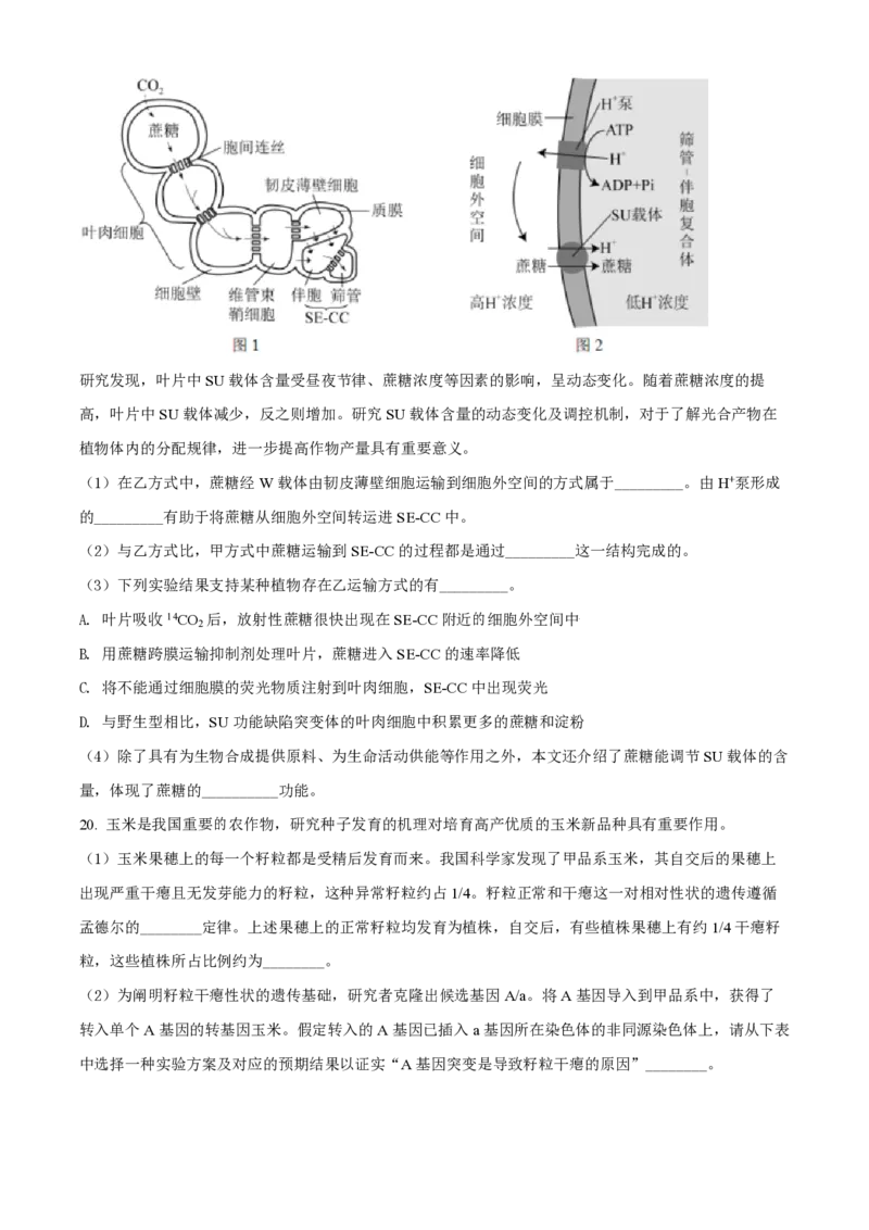 2021年北京市高考生物试卷（原卷版）_全国卷+地方卷_6.生物_1.生物高考真题试卷_2008-2020年_地方卷_北京高考生物08-21_A4word版_PDF版（赠送）