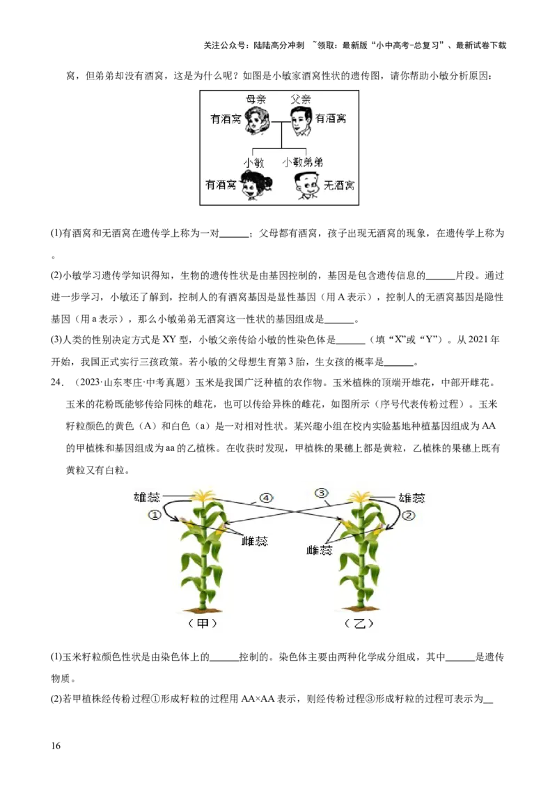 专题12生物的遗传和变异（全国通用）（原卷版）_02中考总复习（2026版更新中）_08-生物-中考总复习_2026年中考复习（更新中）