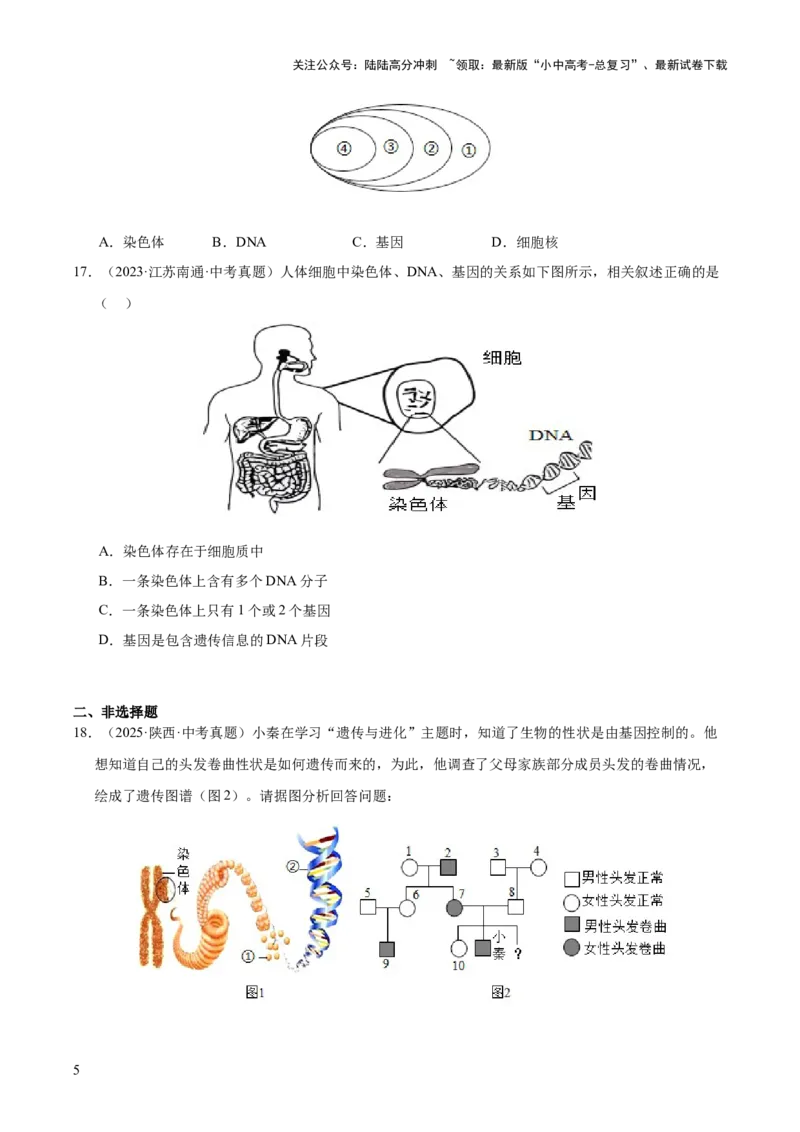 专题12生物的遗传和变异（全国通用）（原卷版）_02中考总复习（2026版更新中）_08-生物-中考总复习_2026年中考复习（更新中）