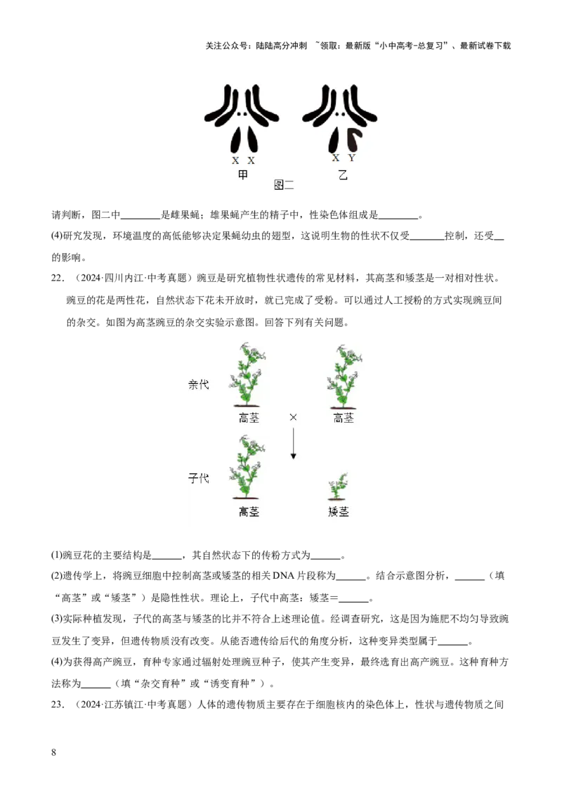 专题12生物的遗传和变异（全国通用）（原卷版）_02中考总复习（2026版更新中）_08-生物-中考总复习_2026年中考复习（更新中）