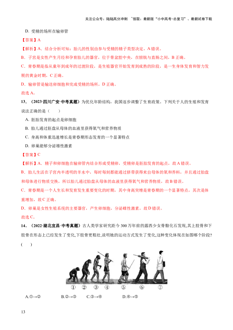 专题09人的由来（练习）（解析版）_02中考总复习（2026版更新中）_08-生物-中考总复习_2024年中考复习资料_一轮复习_❤2024年中考生物一轮复习讲练测（全国通用）_练习