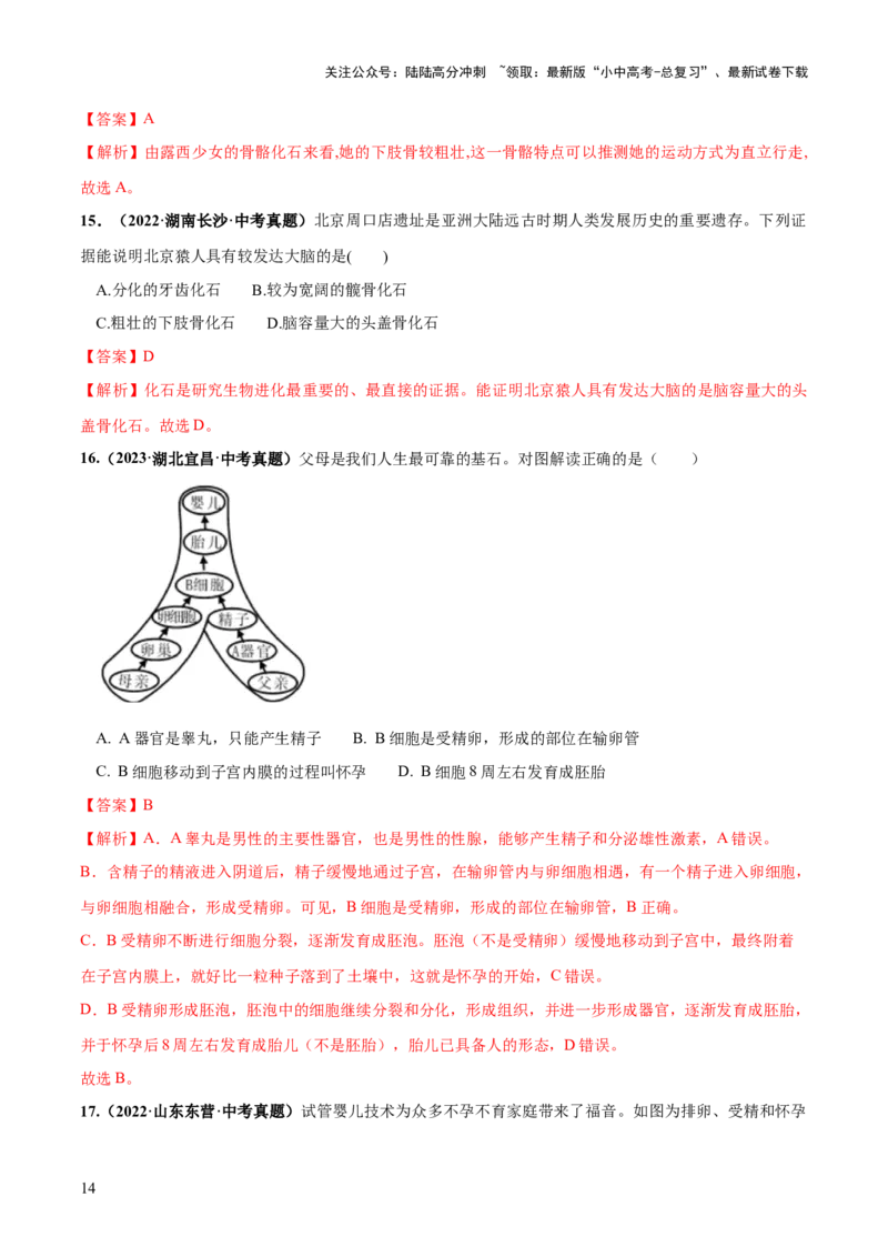 专题09人的由来（练习）（解析版）_02中考总复习（2026版更新中）_08-生物-中考总复习_2024年中考复习资料_一轮复习_❤2024年中考生物一轮复习讲练测（全国通用）_练习