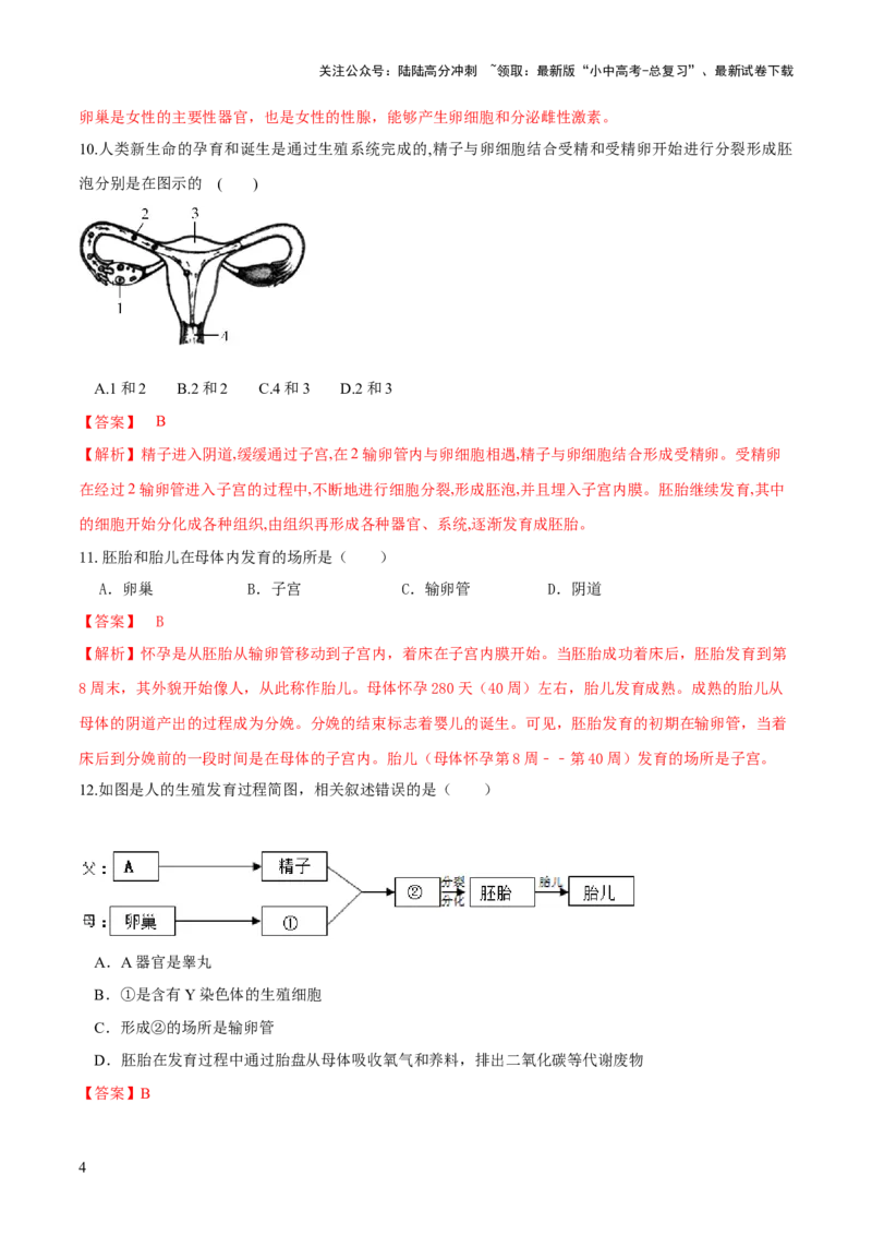 专题09人的由来（练习）（解析版）_02中考总复习（2026版更新中）_08-生物-中考总复习_2024年中考复习资料_一轮复习_❤2024年中考生物一轮复习讲练测（全国通用）_练习
