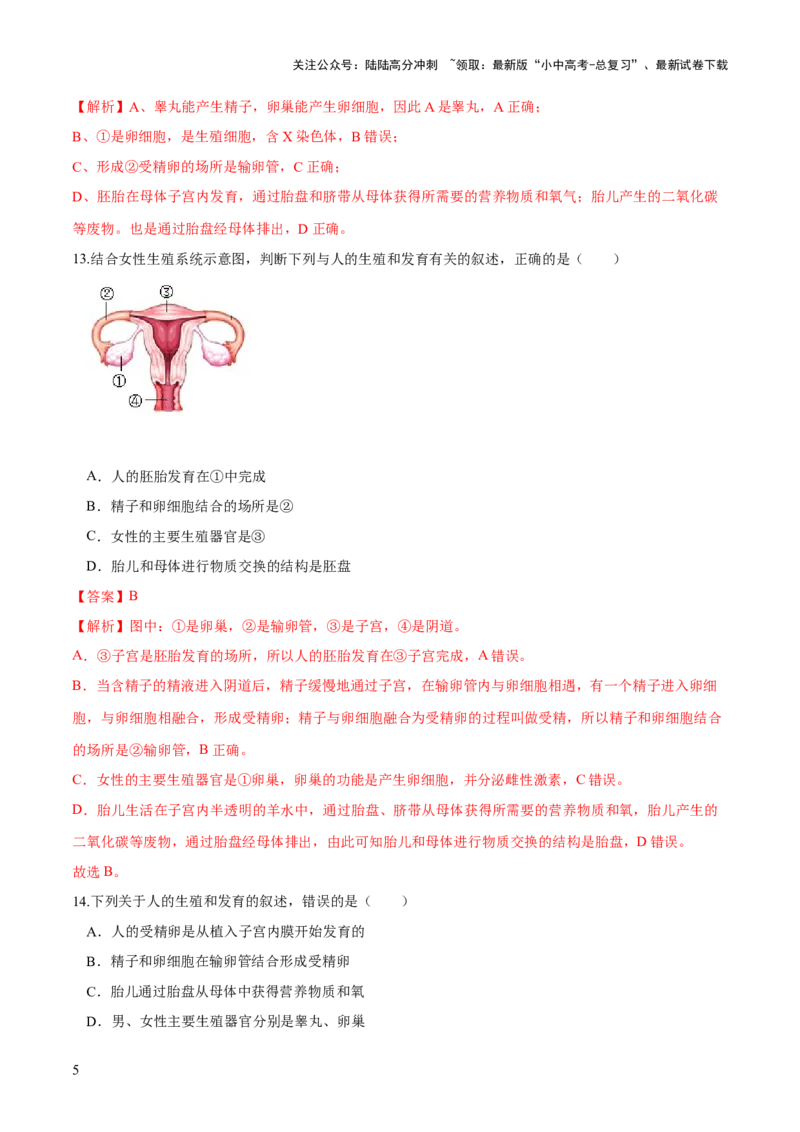专题09人的由来（练习）（解析版）_02中考总复习（2026版更新中）_08-生物-中考总复习_2024年中考复习资料_一轮复习_❤2024年中考生物一轮复习讲练测（全国通用）_练习