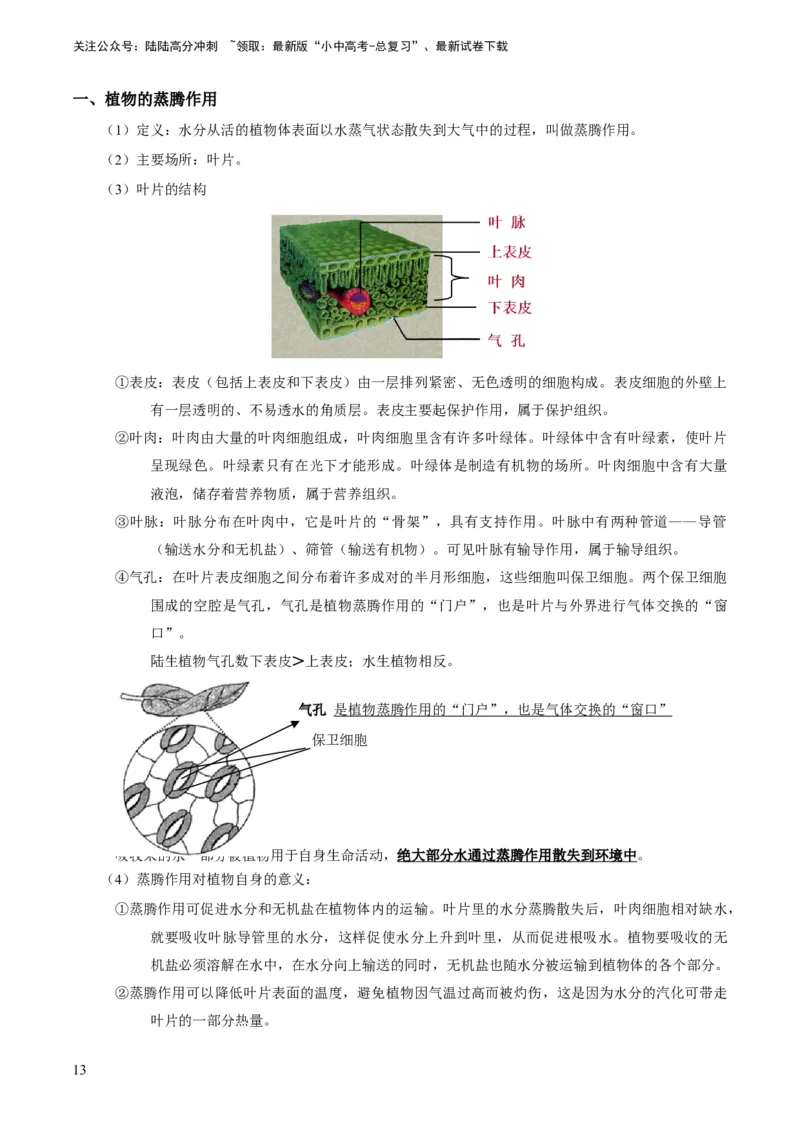 专题09绿色植物的三大生理作用（解析版）_02中考总复习（2026版更新中）_08-生物-中考总复习_2024年中考复习资料_专项复习_备战2024年中考生物真题题源解密