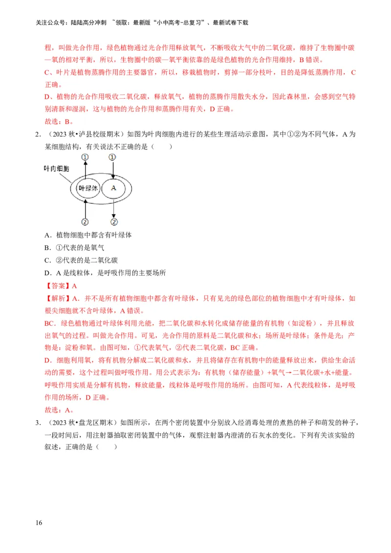 专题09绿色植物的三大生理作用（解析版）_02中考总复习（2026版更新中）_08-生物-中考总复习_2024年中考复习资料_专项复习_备战2024年中考生物真题题源解密