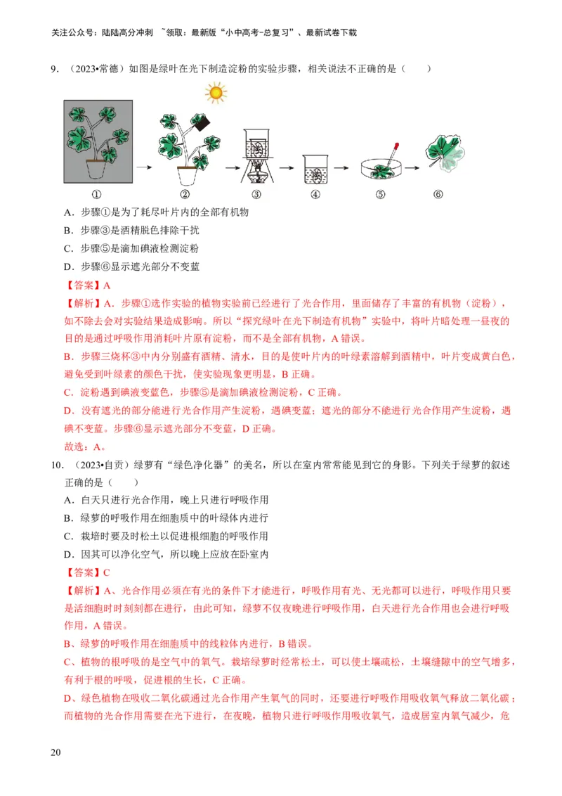 专题09绿色植物的三大生理作用（解析版）_02中考总复习（2026版更新中）_08-生物-中考总复习_2024年中考复习资料_专项复习_备战2024年中考生物真题题源解密