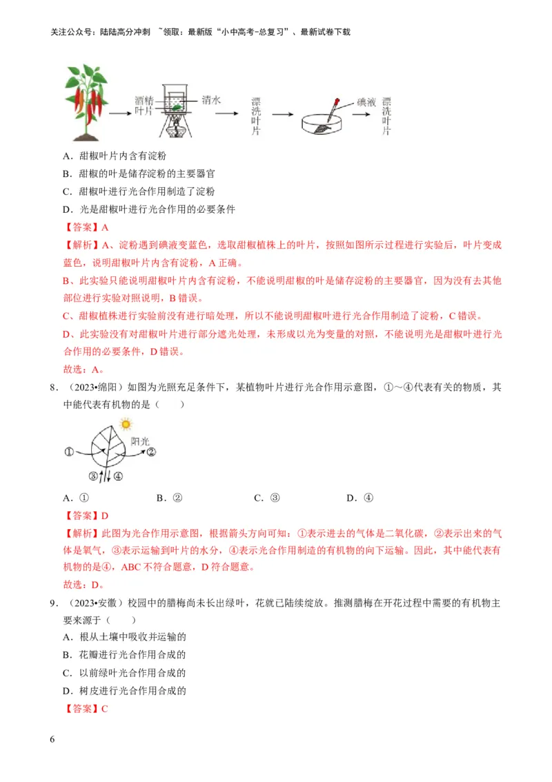 专题09绿色植物的三大生理作用（解析版）_02中考总复习（2026版更新中）_08-生物-中考总复习_2024年中考复习资料_专项复习_备战2024年中考生物真题题源解密