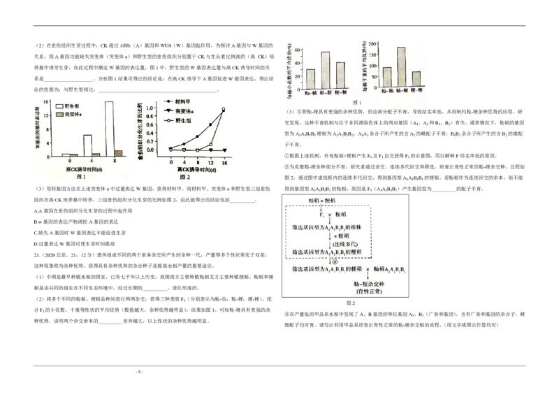 2020年北京市高考生物试卷（原卷版）_全国卷+地方卷_6.生物_1.生物高考真题试卷_2008-2020年_地方卷_北京高考生物08-21_A4word版_PDF版（赠送）
