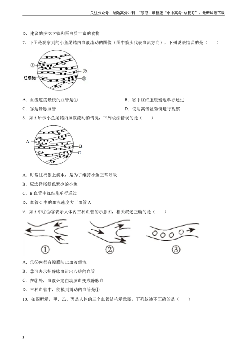 专题12人体内物质的运输（习题精练）（全国通用）（原卷版）_02中考总复习（2026版更新中）_08-生物-中考总复习_2024年中考复习资料_一轮复习_配套练习（原卷版+解析版）