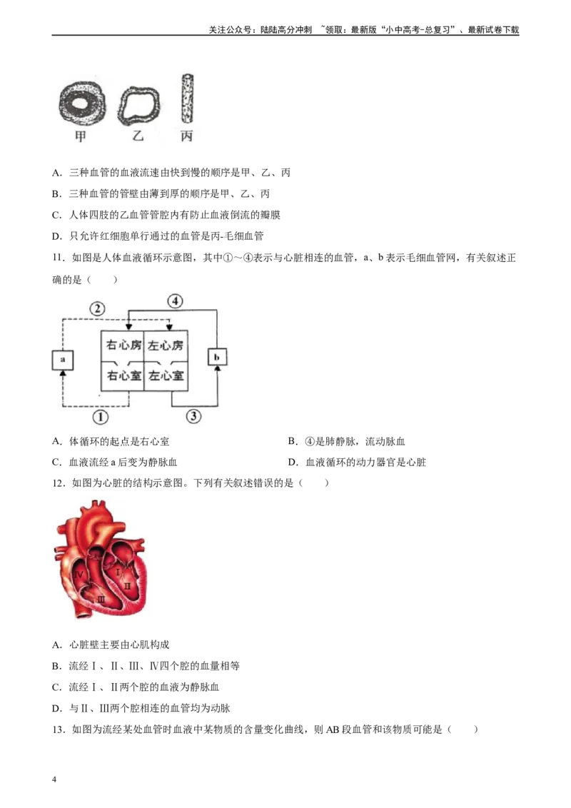 专题12人体内物质的运输（习题精练）（全国通用）（原卷版）_02中考总复习（2026版更新中）_08-生物-中考总复习_2024年中考复习资料_一轮复习_配套练习（原卷版+解析版）