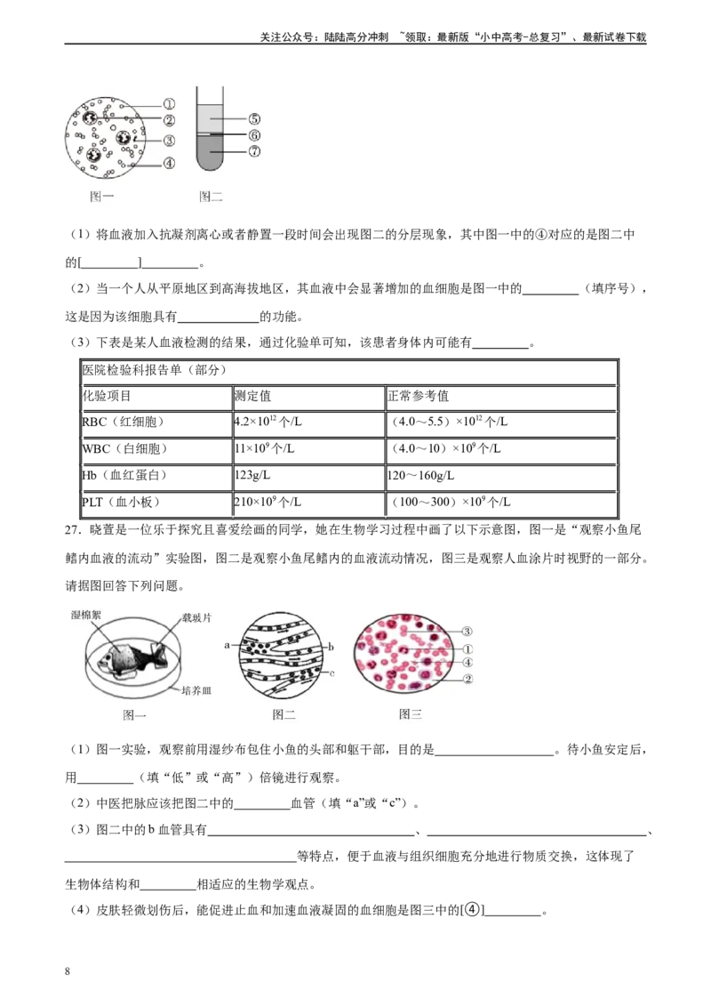 专题12人体内物质的运输（习题精练）（全国通用）（原卷版）_02中考总复习（2026版更新中）_08-生物-中考总复习_2024年中考复习资料_一轮复习_配套练习（原卷版+解析版）