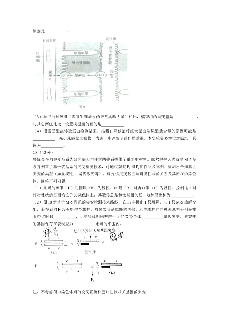 2021年高考真题&mdash;&mdash;生物（广东卷）（原卷版）_全国卷+地方卷_6.生物_1.生物高考真题试卷_2021年高考-生物_2021新高考广东生物卷