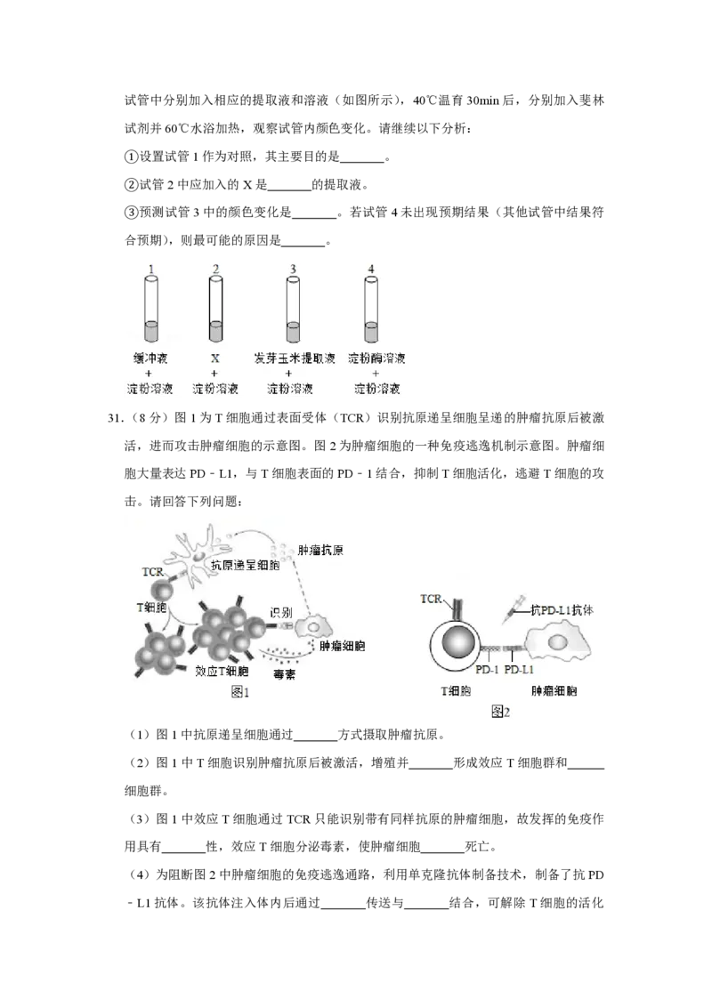 2019年江苏省高考生物试卷_全国卷+地方卷_6.生物_1.生物高考真题试卷_2008-2020年_地方卷_江苏高考生物07-20_A4word版_PDF版（赠送）