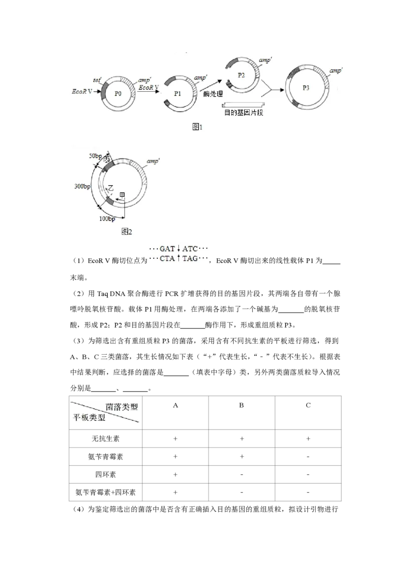 2019年江苏省高考生物试卷_全国卷+地方卷_6.生物_1.生物高考真题试卷_2008-2020年_地方卷_江苏高考生物07-20_A4word版_PDF版（赠送）