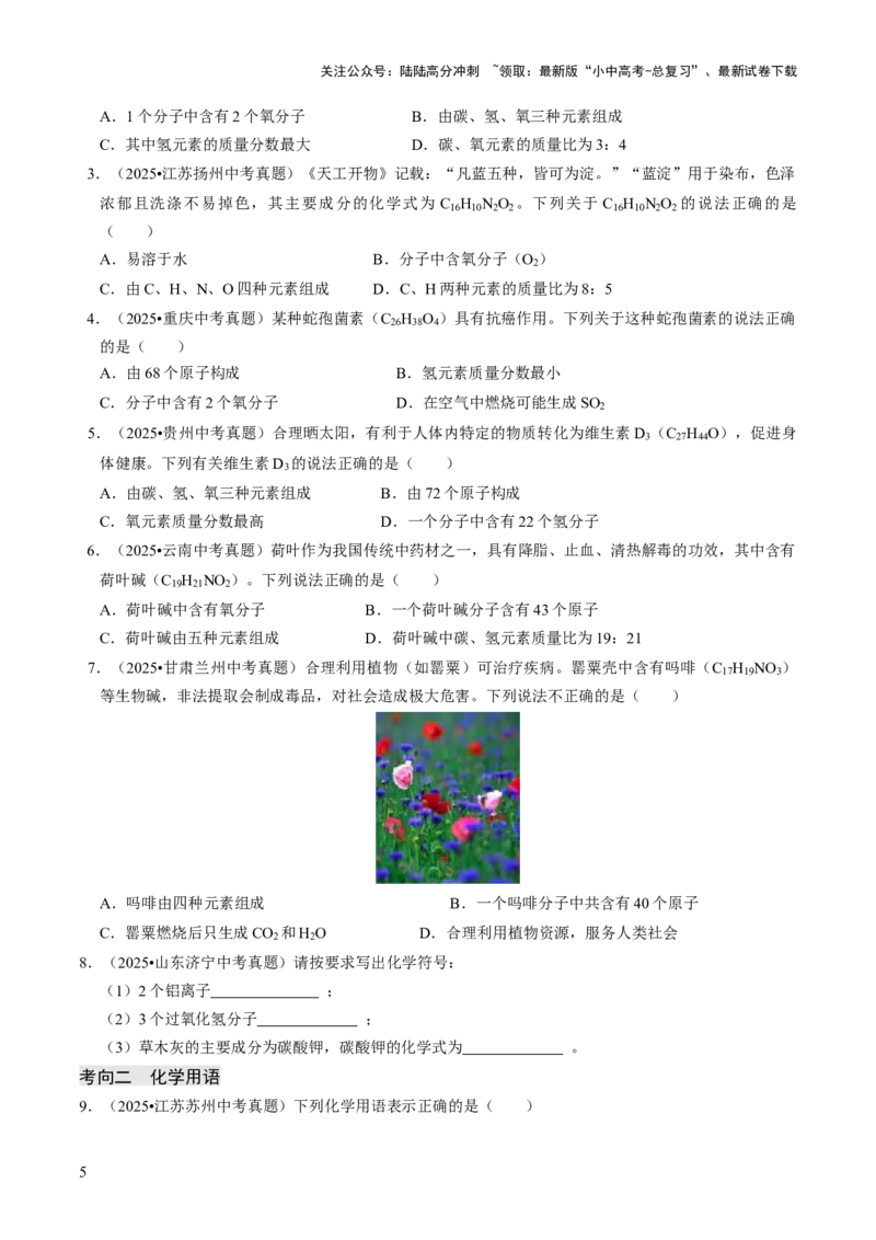 专题09物质组成的表示（原卷版）_02中考总复习（2026版更新中）_05-化学-中考总复习_2026年中考复习（更新中）_备战2026年中考化学真题题源解密