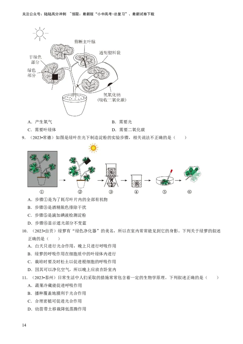 专题09绿色植物的三大生理作用（原卷版）_02中考总复习（2026版更新中）_08-生物-中考总复习_2024年中考复习资料_专项复习_备战2024年中考生物真题题源解密