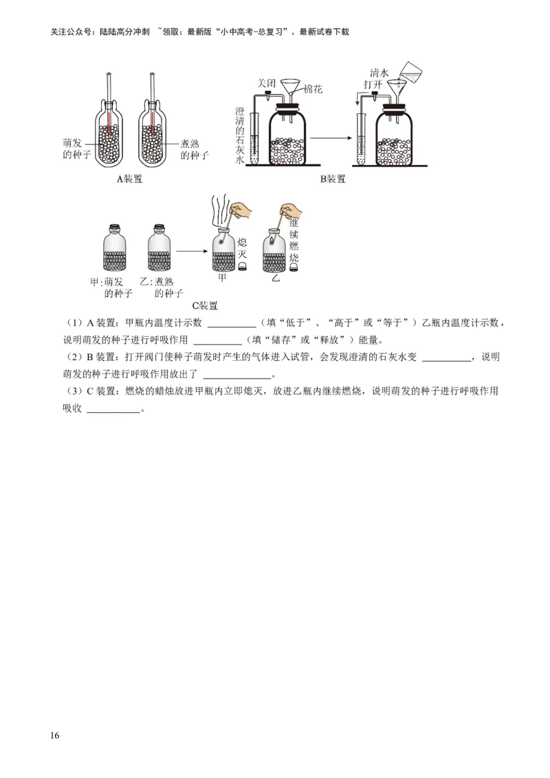 专题09绿色植物的三大生理作用（原卷版）_02中考总复习（2026版更新中）_08-生物-中考总复习_2024年中考复习资料_专项复习_备战2024年中考生物真题题源解密