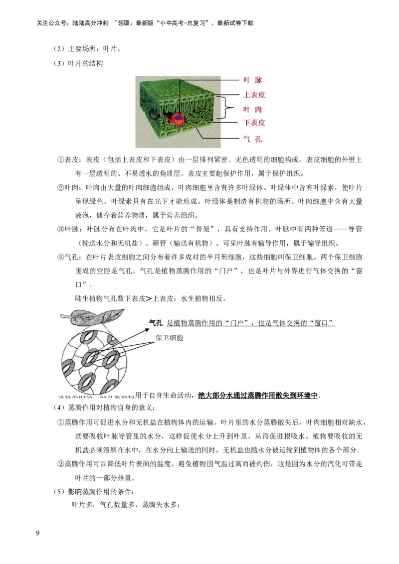 专题09绿色植物的三大生理作用（原卷版）_02中考总复习（2026版更新中）_08-生物-中考总复习_2024年中考复习资料_专项复习_备战2024年中考生物真题题源解密