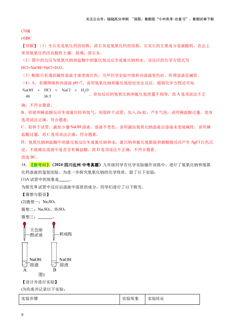 专题09常见的酸和碱（练习）（解析版）_02中考总复习（2026版更新中）_05-化学-中考总复习_2025年中考复习资料_2025中考化学一轮复习讲义+课件_练习_专题09常见的酸和碱（练习）