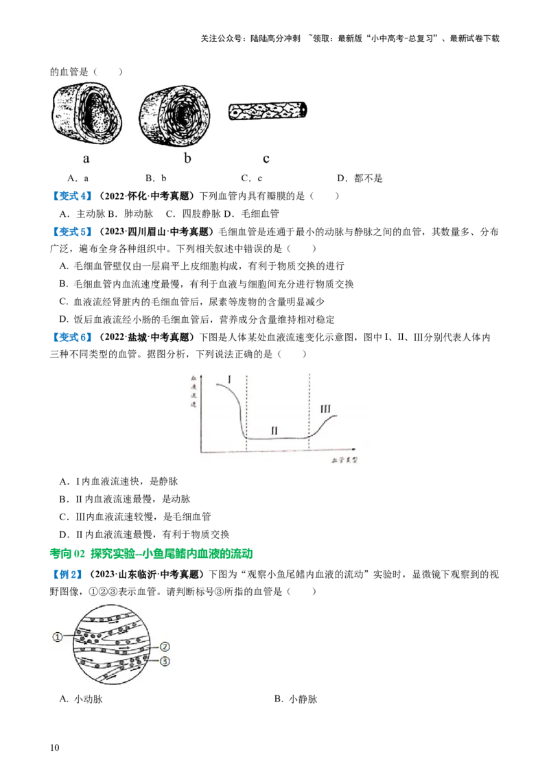 专题12人体内物质的运输（讲义）（原卷版）_02中考总复习（2026版更新中）_08-生物-中考总复习_2024年中考复习资料_一轮复习_❤2024年中考生物一轮复习讲练测（全国通用）_讲义