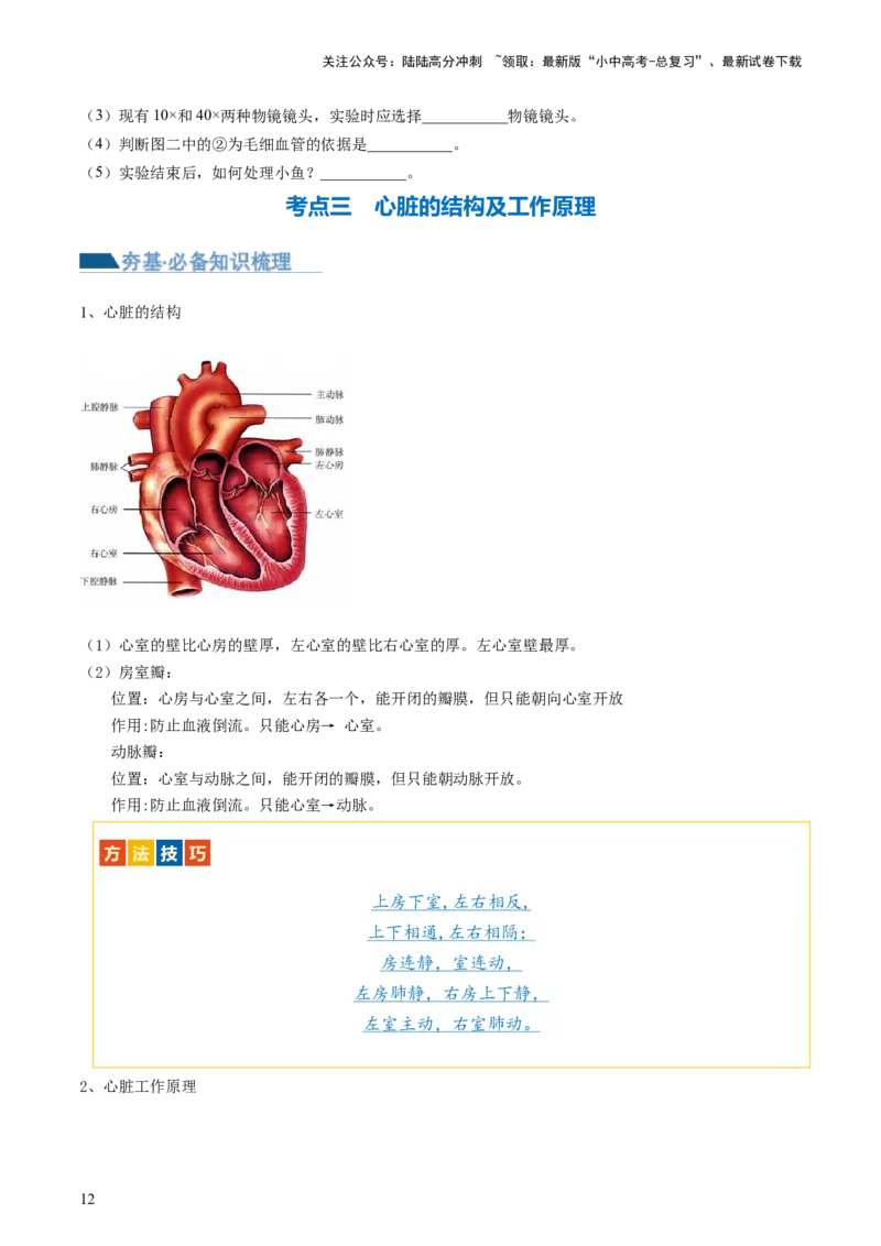 专题12人体内物质的运输（讲义）（原卷版）_02中考总复习（2026版更新中）_08-生物-中考总复习_2024年中考复习资料_一轮复习_❤2024年中考生物一轮复习讲练测（全国通用）_讲义