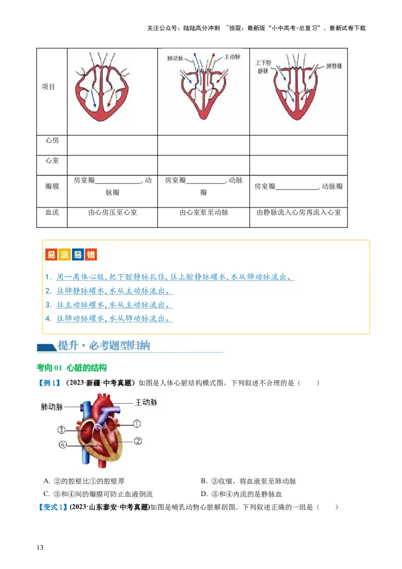 专题12人体内物质的运输（讲义）（原卷版）_02中考总复习（2026版更新中）_08-生物-中考总复习_2024年中考复习资料_一轮复习_❤2024年中考生物一轮复习讲练测（全国通用）_讲义