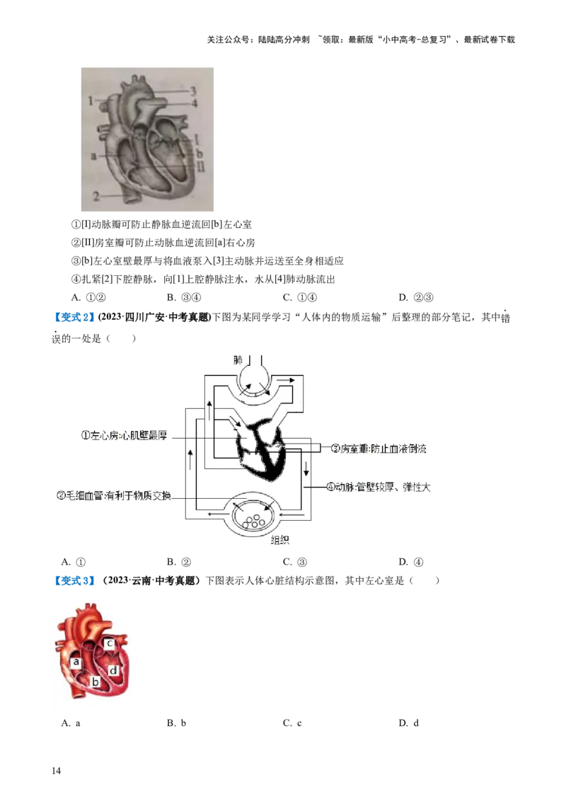 专题12人体内物质的运输（讲义）（原卷版）_02中考总复习（2026版更新中）_08-生物-中考总复习_2024年中考复习资料_一轮复习_❤2024年中考生物一轮复习讲练测（全国通用）_讲义