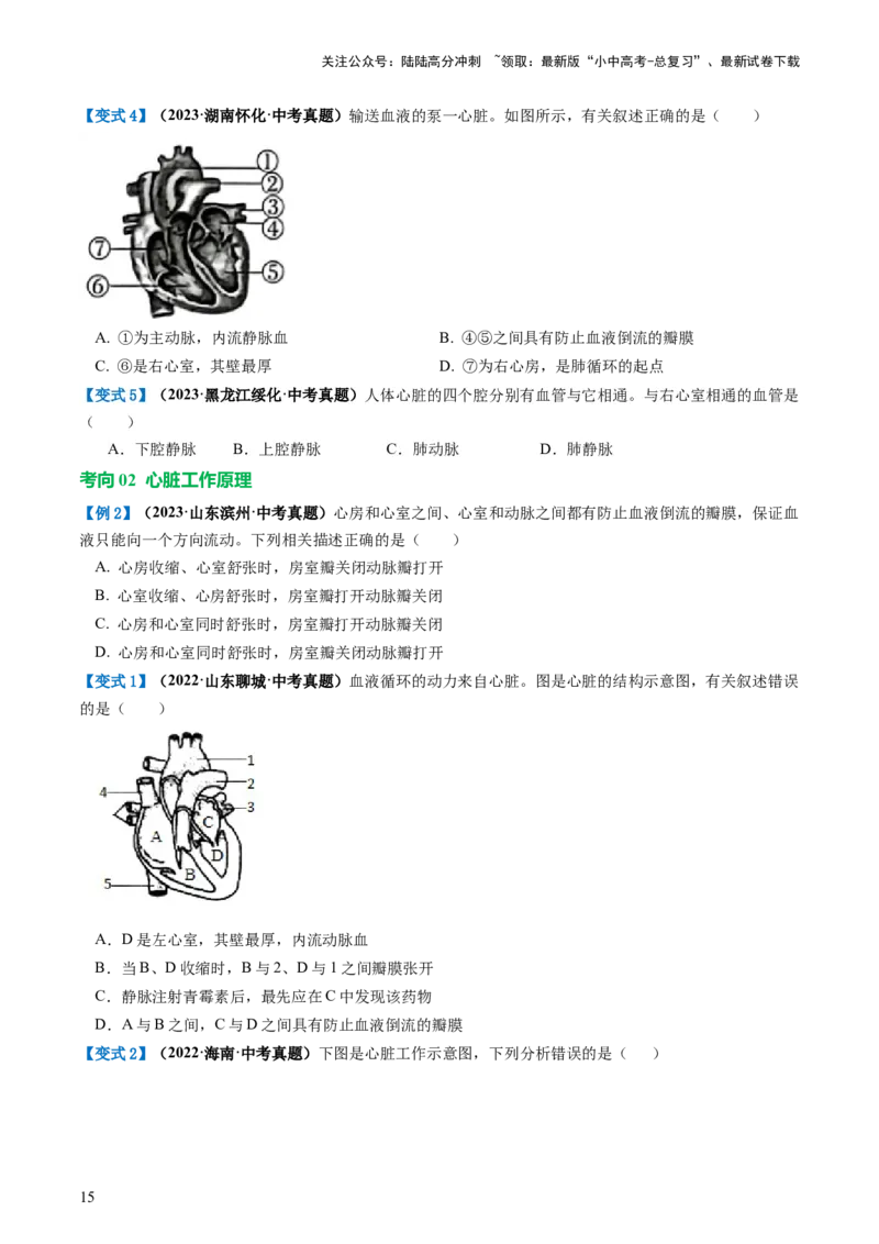 专题12人体内物质的运输（讲义）（原卷版）_02中考总复习（2026版更新中）_08-生物-中考总复习_2024年中考复习资料_一轮复习_❤2024年中考生物一轮复习讲练测（全国通用）_讲义