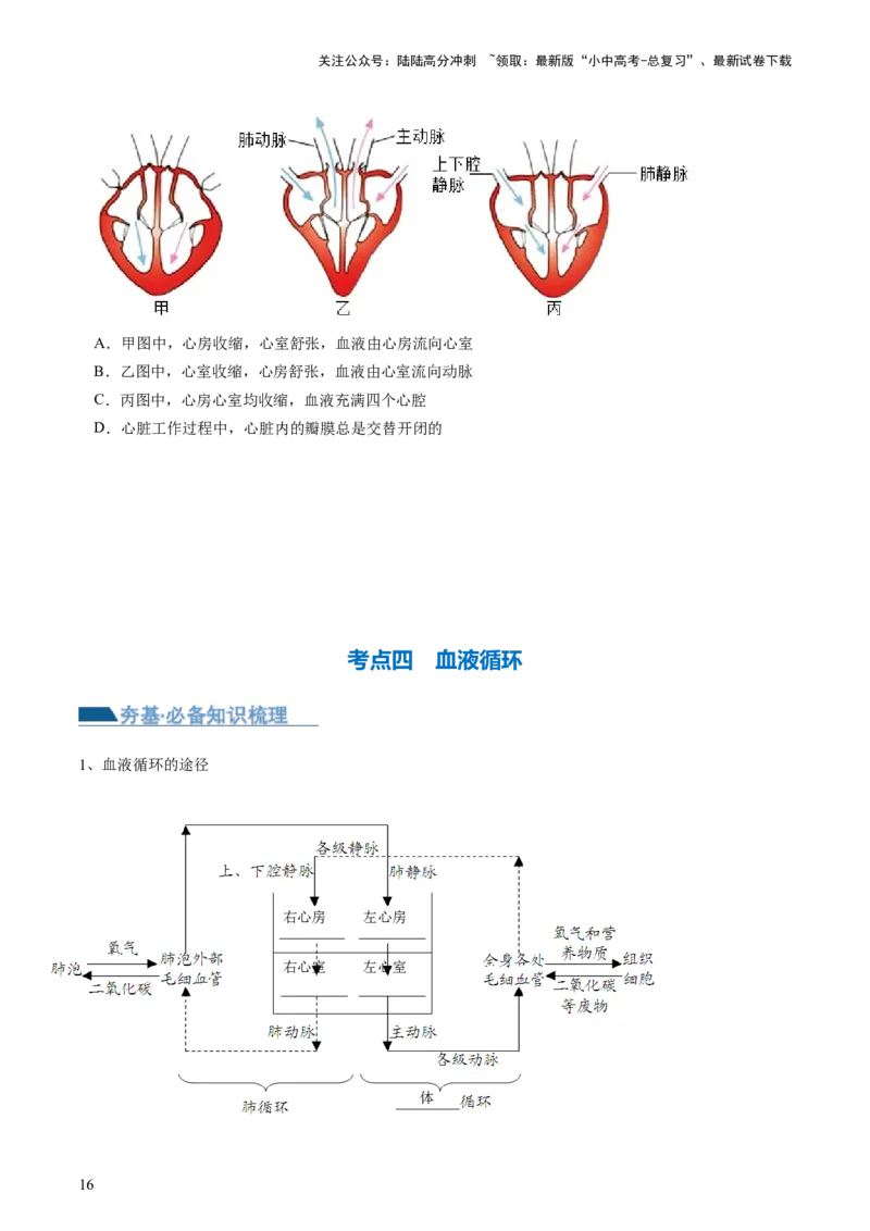 专题12人体内物质的运输（讲义）（原卷版）_02中考总复习（2026版更新中）_08-生物-中考总复习_2024年中考复习资料_一轮复习_❤2024年中考生物一轮复习讲练测（全国通用）_讲义