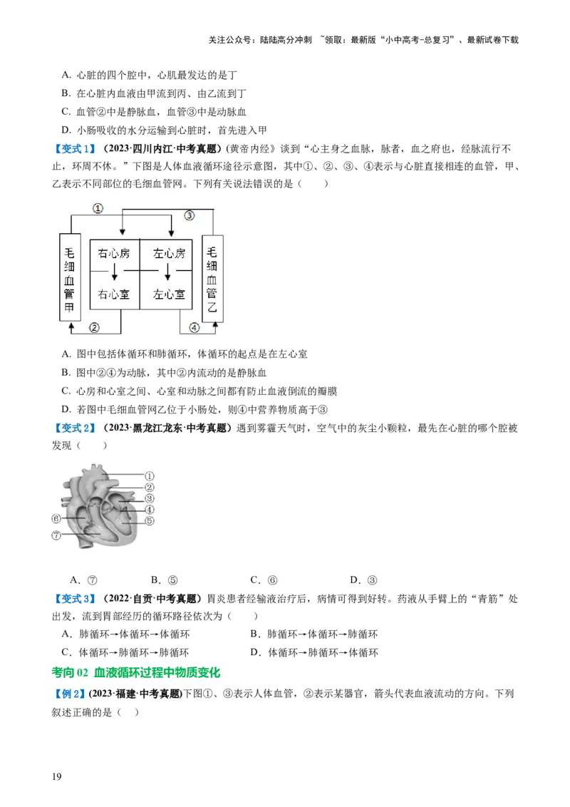 专题12人体内物质的运输（讲义）（原卷版）_02中考总复习（2026版更新中）_08-生物-中考总复习_2024年中考复习资料_一轮复习_❤2024年中考生物一轮复习讲练测（全国通用）_讲义