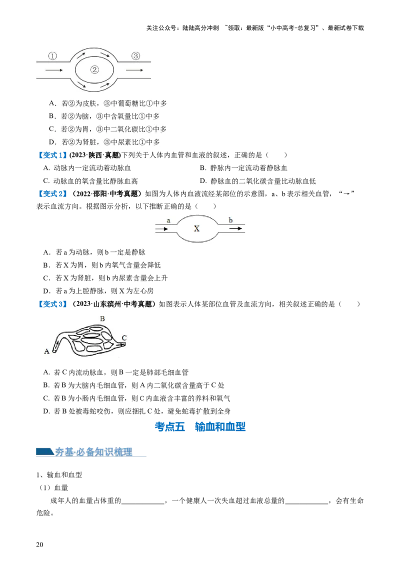 专题12人体内物质的运输（讲义）（原卷版）_02中考总复习（2026版更新中）_08-生物-中考总复习_2024年中考复习资料_一轮复习_❤2024年中考生物一轮复习讲练测（全国通用）_讲义