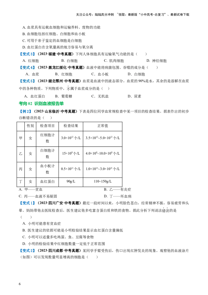 专题12人体内物质的运输（讲义）（原卷版）_02中考总复习（2026版更新中）_08-生物-中考总复习_2024年中考复习资料_一轮复习_❤2024年中考生物一轮复习讲练测（全国通用）_讲义