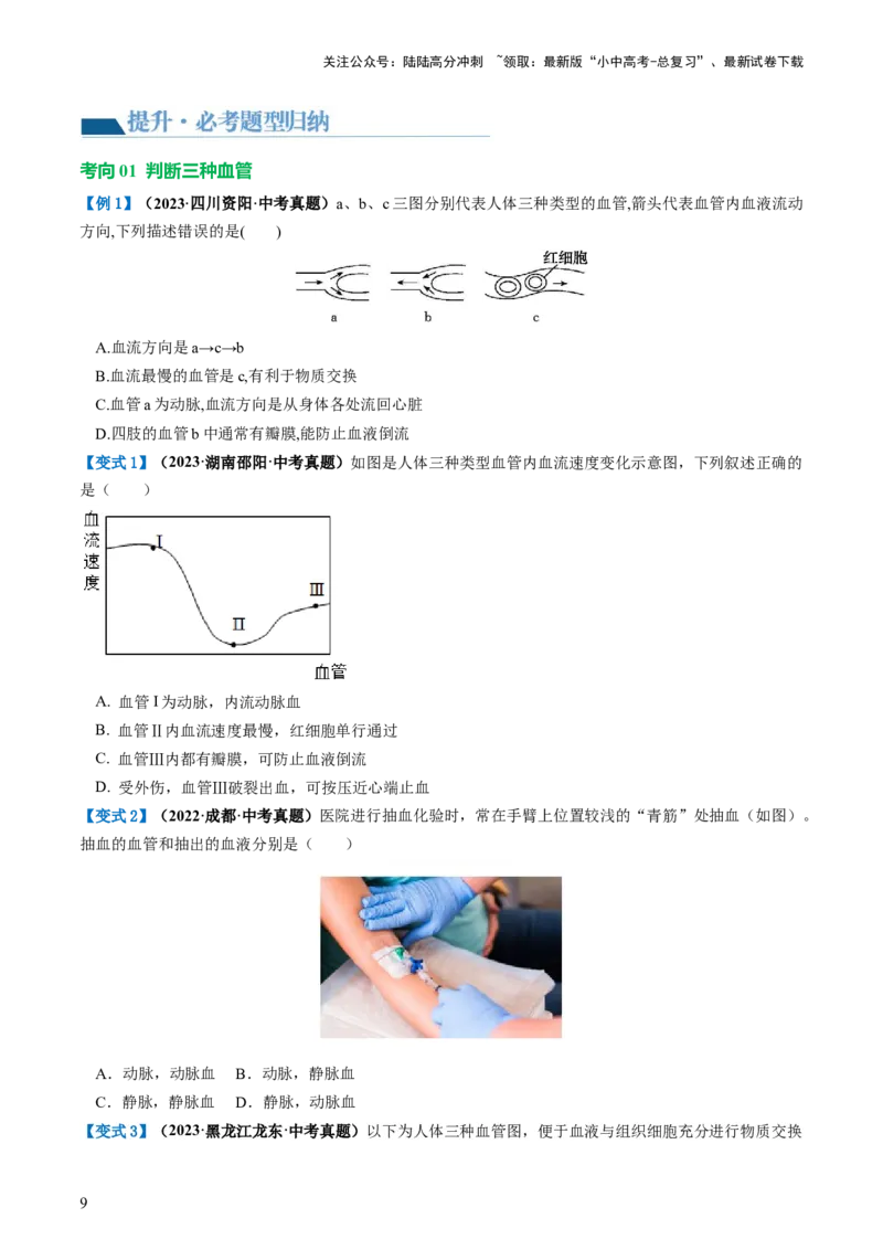 专题12人体内物质的运输（讲义）（原卷版）_02中考总复习（2026版更新中）_08-生物-中考总复习_2024年中考复习资料_一轮复习_❤2024年中考生物一轮复习讲练测（全国通用）_讲义