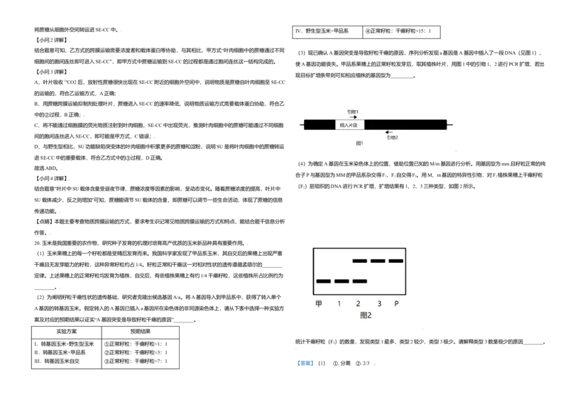 2021年北京市高考生物试卷（解析版）_全国卷+地方卷_6.生物_1.生物高考真题试卷_2008-2020年_地方卷_北京高考生物08-21_A3word版