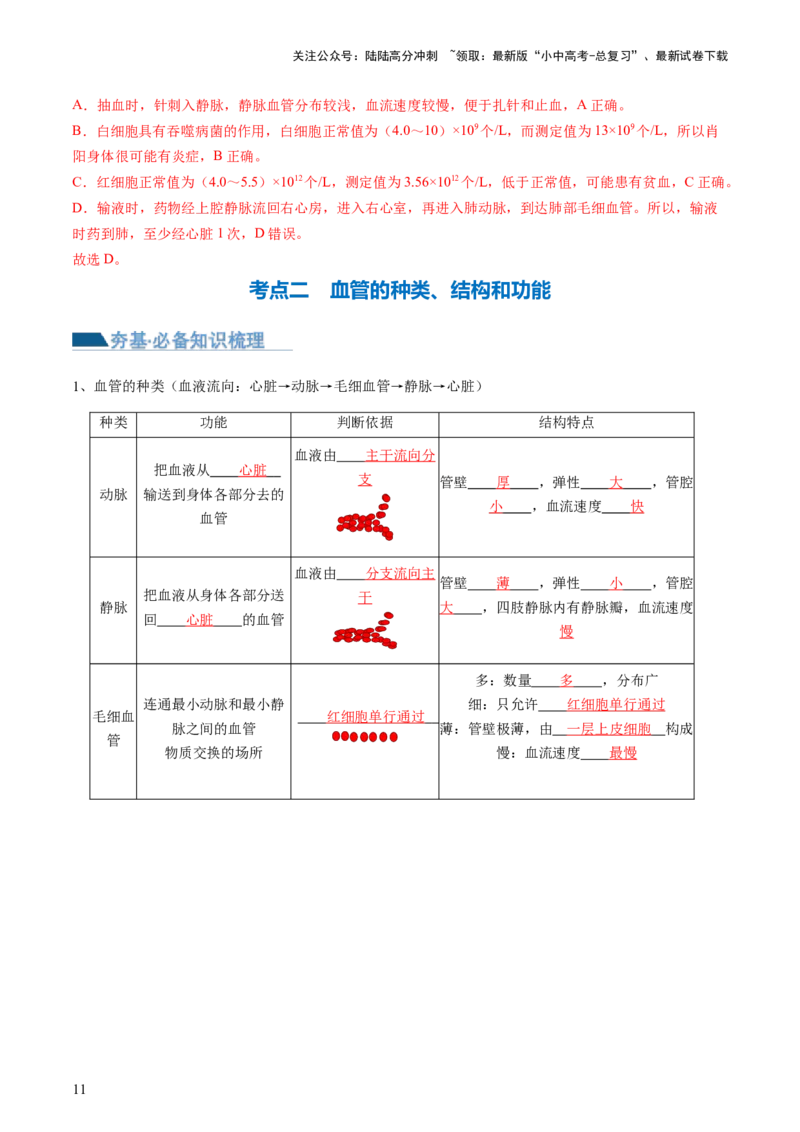 专题12人体内物质的运输（讲义）（解析版）_02中考总复习（2026版更新中）_08-生物-中考总复习_2024年中考复习资料_一轮复习_❤2024年中考生物一轮复习讲练测（全国通用）_讲义