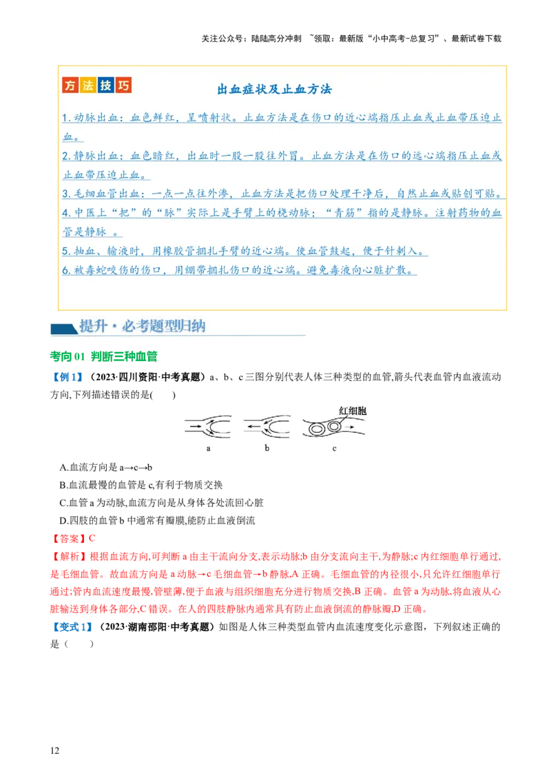 专题12人体内物质的运输（讲义）（解析版）_02中考总复习（2026版更新中）_08-生物-中考总复习_2024年中考复习资料_一轮复习_❤2024年中考生物一轮复习讲练测（全国通用）_讲义