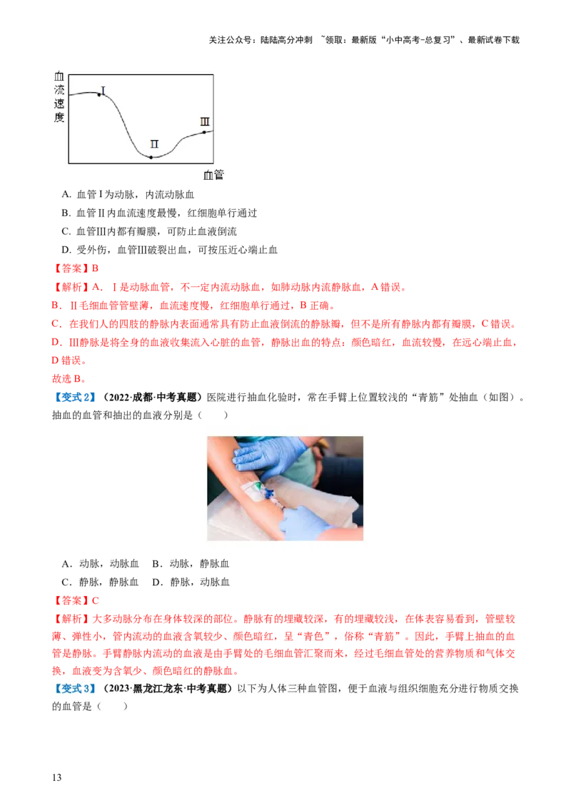 专题12人体内物质的运输（讲义）（解析版）_02中考总复习（2026版更新中）_08-生物-中考总复习_2024年中考复习资料_一轮复习_❤2024年中考生物一轮复习讲练测（全国通用）_讲义