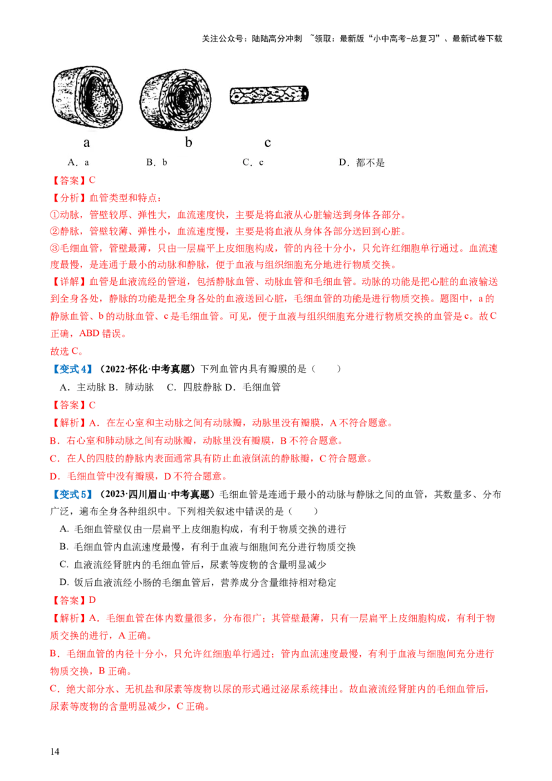 专题12人体内物质的运输（讲义）（解析版）_02中考总复习（2026版更新中）_08-生物-中考总复习_2024年中考复习资料_一轮复习_❤2024年中考生物一轮复习讲练测（全国通用）_讲义
