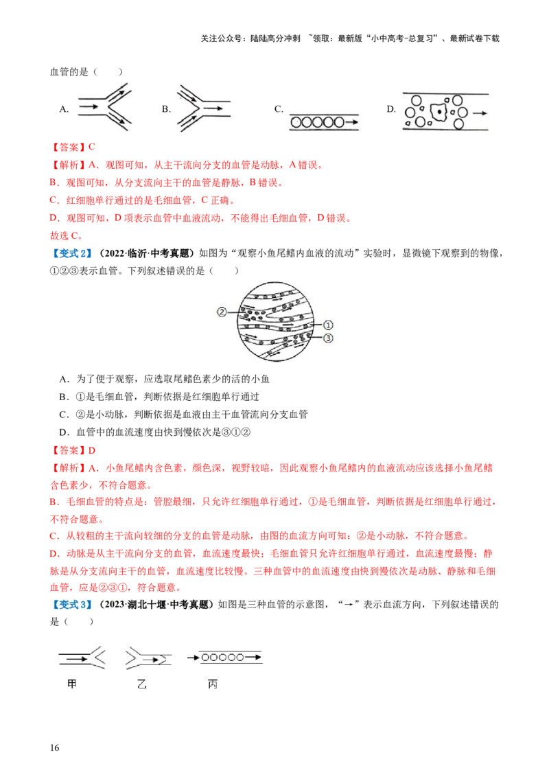 专题12人体内物质的运输（讲义）（解析版）_02中考总复习（2026版更新中）_08-生物-中考总复习_2024年中考复习资料_一轮复习_❤2024年中考生物一轮复习讲练测（全国通用）_讲义