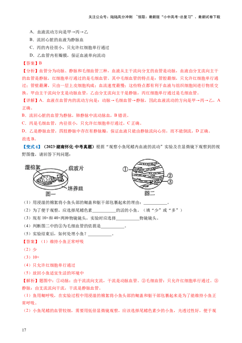 专题12人体内物质的运输（讲义）（解析版）_02中考总复习（2026版更新中）_08-生物-中考总复习_2024年中考复习资料_一轮复习_❤2024年中考生物一轮复习讲练测（全国通用）_讲义