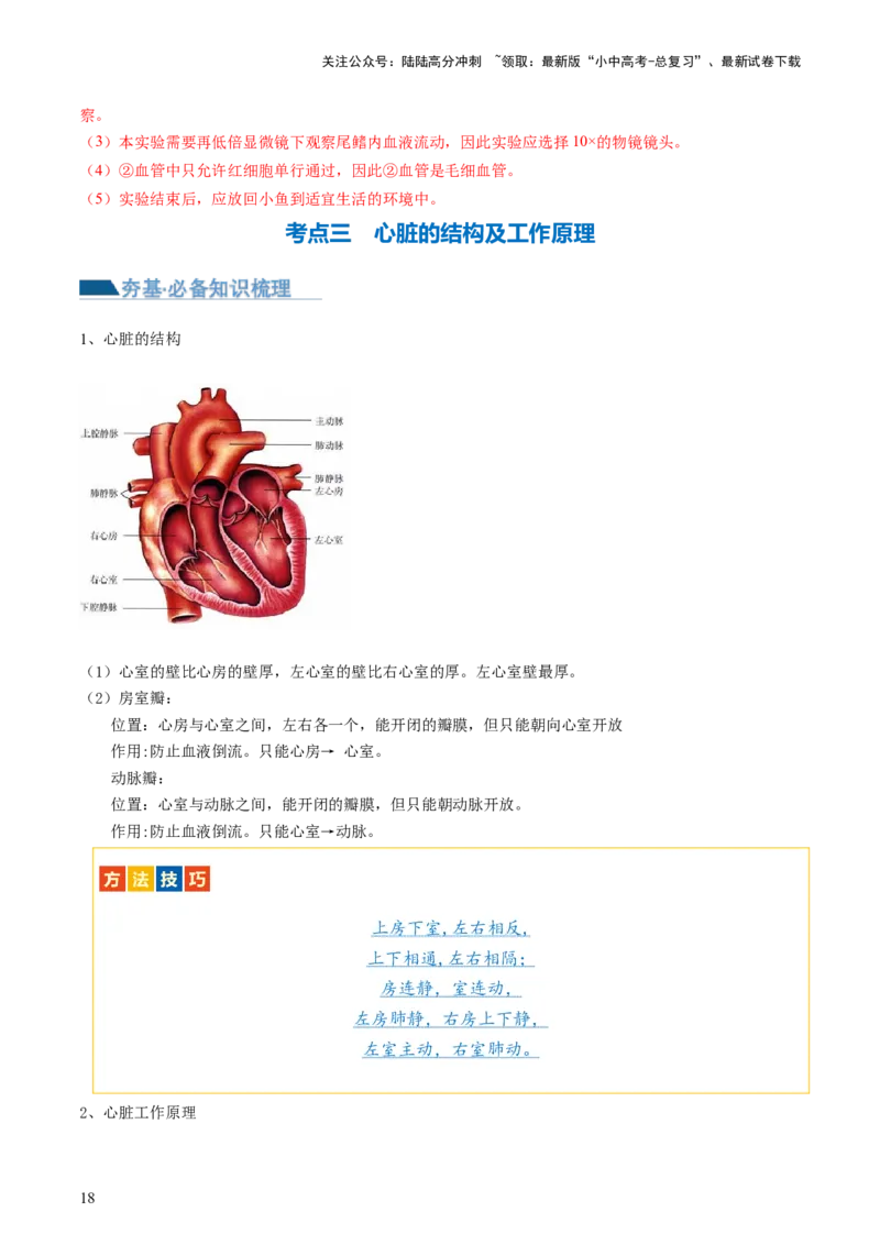 专题12人体内物质的运输（讲义）（解析版）_02中考总复习（2026版更新中）_08-生物-中考总复习_2024年中考复习资料_一轮复习_❤2024年中考生物一轮复习讲练测（全国通用）_讲义