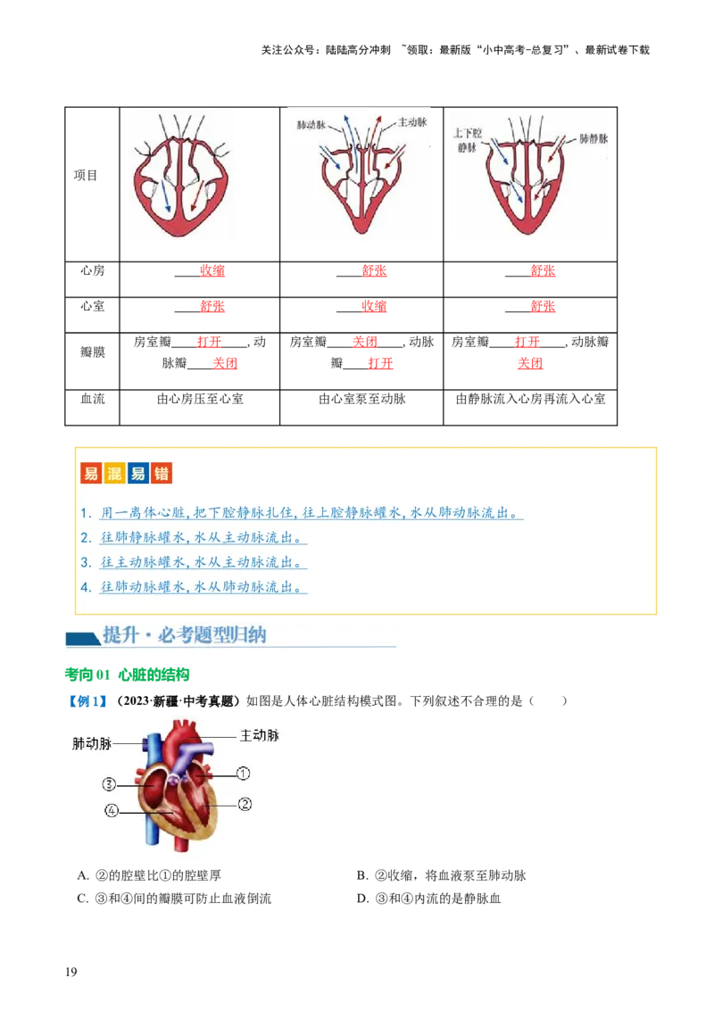 专题12人体内物质的运输（讲义）（解析版）_02中考总复习（2026版更新中）_08-生物-中考总复习_2024年中考复习资料_一轮复习_❤2024年中考生物一轮复习讲练测（全国通用）_讲义
