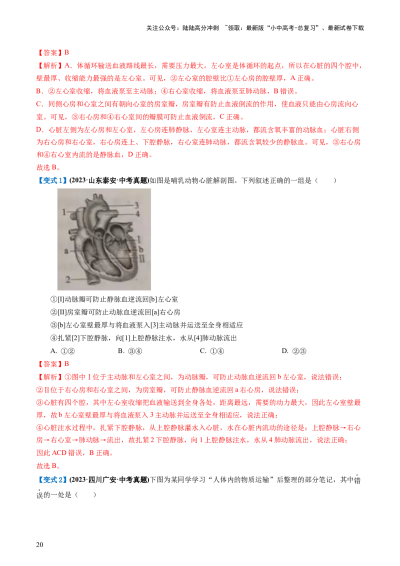 专题12人体内物质的运输（讲义）（解析版）_02中考总复习（2026版更新中）_08-生物-中考总复习_2024年中考复习资料_一轮复习_❤2024年中考生物一轮复习讲练测（全国通用）_讲义