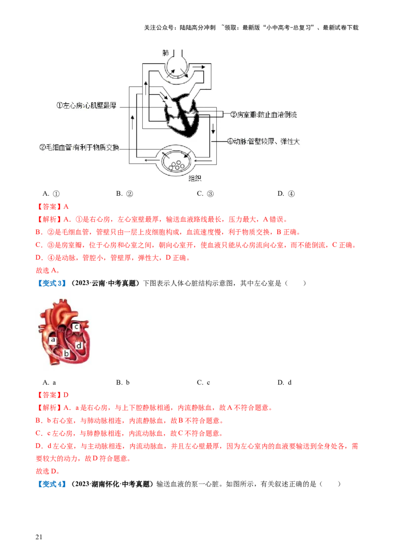 专题12人体内物质的运输（讲义）（解析版）_02中考总复习（2026版更新中）_08-生物-中考总复习_2024年中考复习资料_一轮复习_❤2024年中考生物一轮复习讲练测（全国通用）_讲义