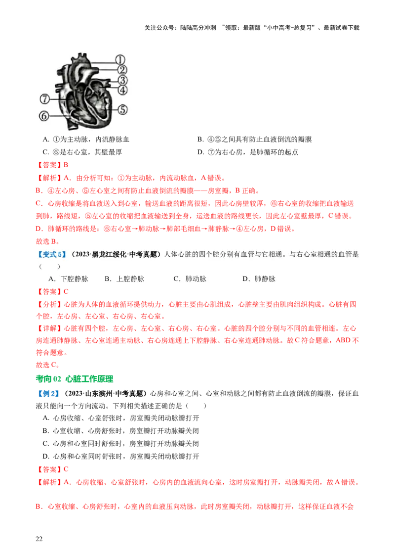 专题12人体内物质的运输（讲义）（解析版）_02中考总复习（2026版更新中）_08-生物-中考总复习_2024年中考复习资料_一轮复习_❤2024年中考生物一轮复习讲练测（全国通用）_讲义