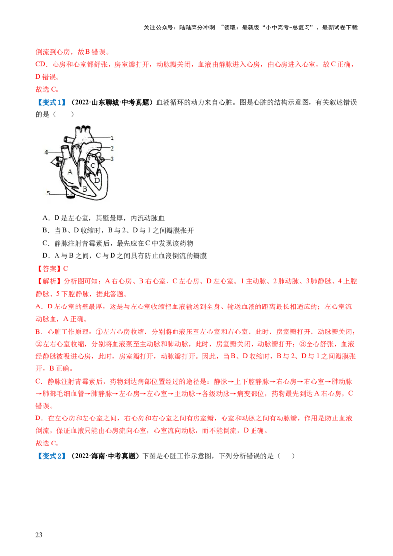 专题12人体内物质的运输（讲义）（解析版）_02中考总复习（2026版更新中）_08-生物-中考总复习_2024年中考复习资料_一轮复习_❤2024年中考生物一轮复习讲练测（全国通用）_讲义
