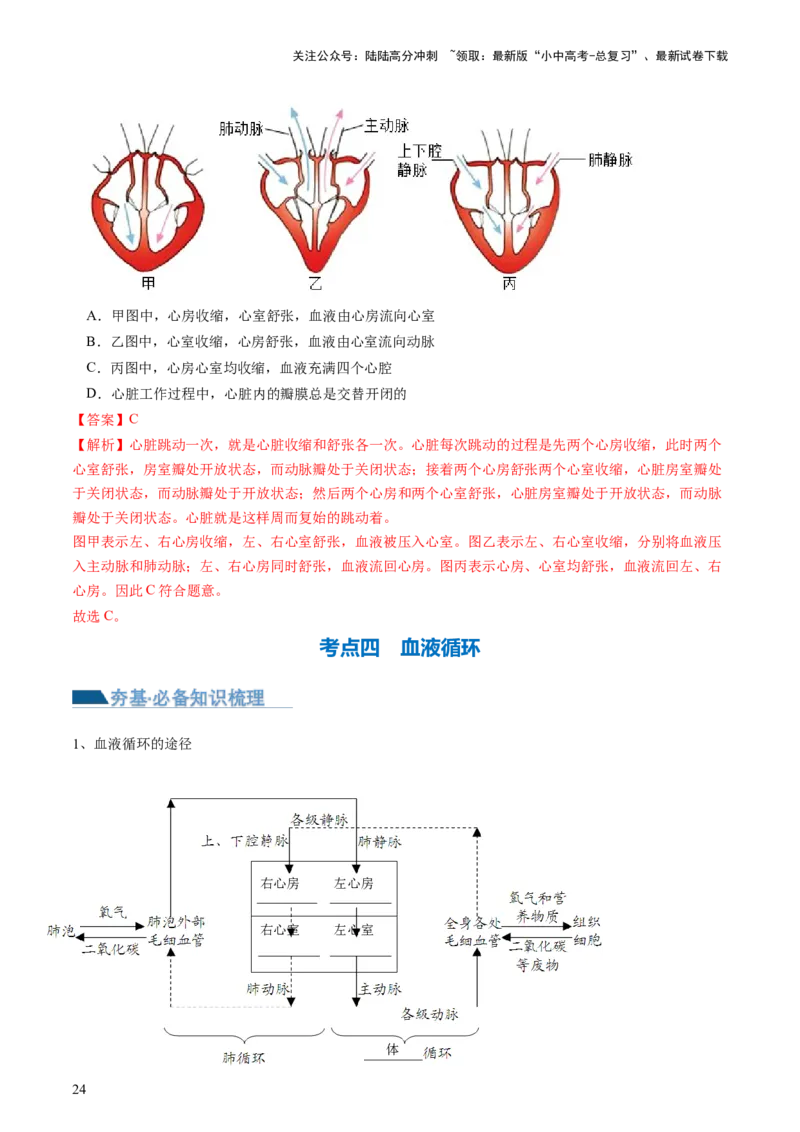 专题12人体内物质的运输（讲义）（解析版）_02中考总复习（2026版更新中）_08-生物-中考总复习_2024年中考复习资料_一轮复习_❤2024年中考生物一轮复习讲练测（全国通用）_讲义