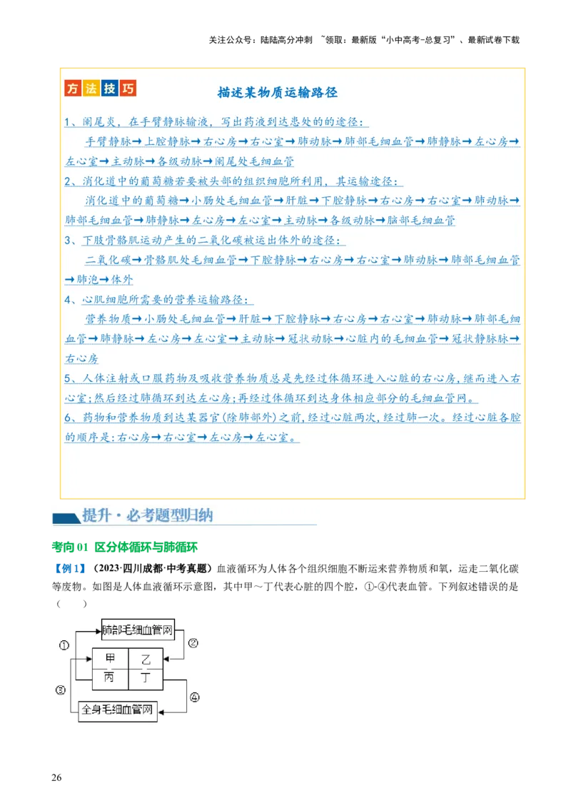 专题12人体内物质的运输（讲义）（解析版）_02中考总复习（2026版更新中）_08-生物-中考总复习_2024年中考复习资料_一轮复习_❤2024年中考生物一轮复习讲练测（全国通用）_讲义