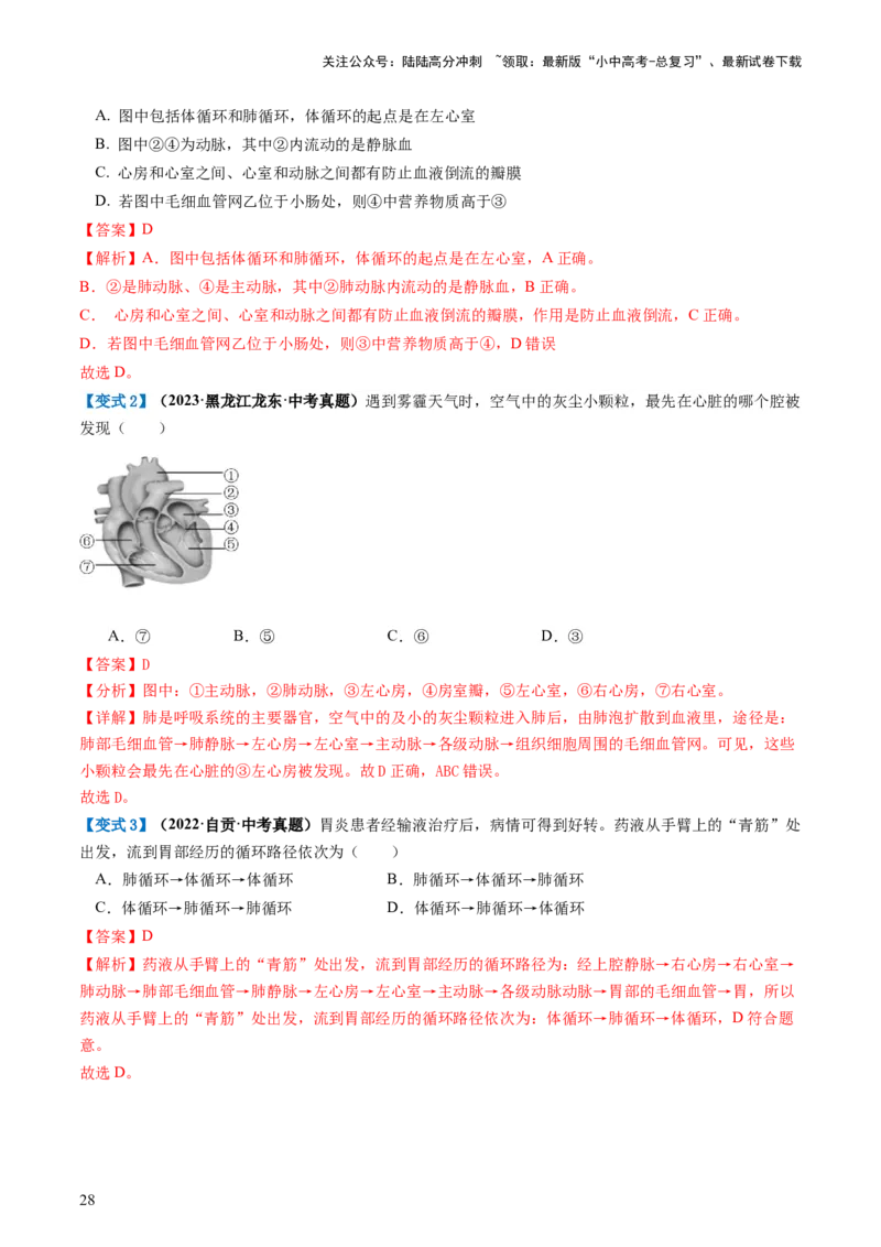 专题12人体内物质的运输（讲义）（解析版）_02中考总复习（2026版更新中）_08-生物-中考总复习_2024年中考复习资料_一轮复习_❤2024年中考生物一轮复习讲练测（全国通用）_讲义